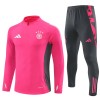 Germania Color Felpe da Allenamento Quarto-Zip 2024-25 Rosa per Uomo